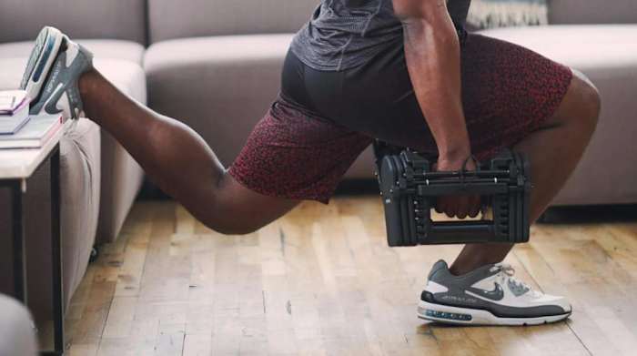 PowerBlock Dumbbells